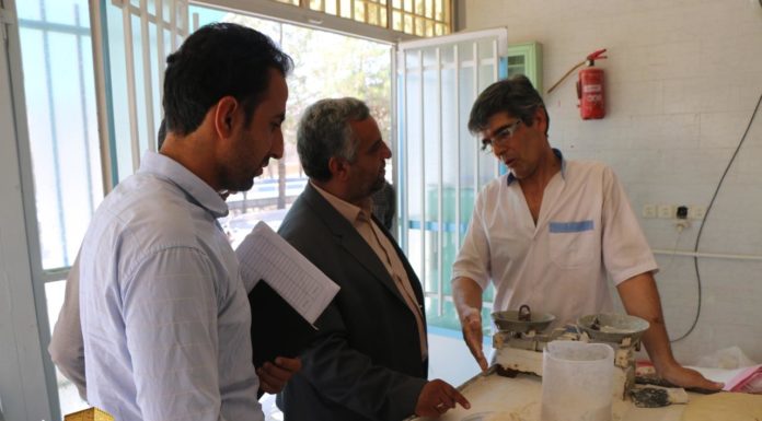 عزم جدی بازرسان تعزیرات حکومتی در برخورد با نانوایان مختلف